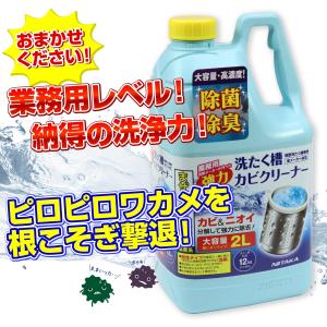 ニイタカ 洗濯槽カビクリーナー 縦型洗濯機用 ...の詳細画像3
