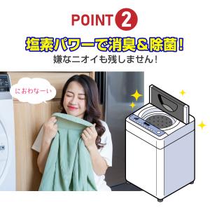 ニイタカ 洗濯槽カビクリーナー 縦型洗濯機用 ...の詳細画像5