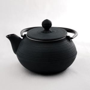 岩鋳（IWACHU） 南部鉄器 急須 カエデ 紫紺 5型 茶こし付 ( 岩鋳 父の
