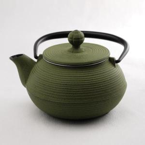 岩鋳（IWACHU） 南部鉄器 急須 カエデ 紫紺 5型 茶こし付 ( 岩鋳