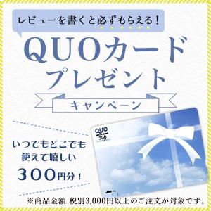 九谷焼 皿揃 赤呉須 5.2号 5枚セット (...の詳細画像2