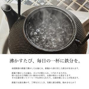 岩鋳 南部鉄器 鉄瓶兼用急須 新アラレ 直火用...の詳細画像1