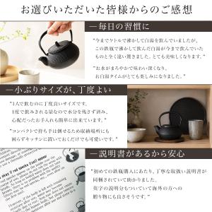 岩鋳 南部鉄器 鉄瓶兼用急須 新アラレ 直火用...の詳細画像5