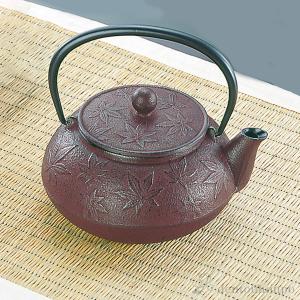 岩鋳（IWACHU） 南部鉄器 鉄瓶兼用急須 新亀甲 直火用 5型 650ml