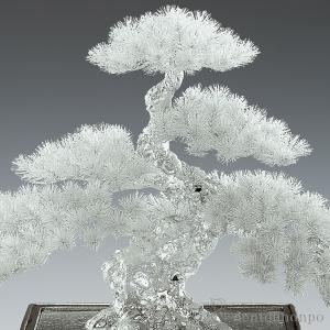 銀製 盆栽 松 12号・1000g ( 高級 ...の詳細画像1