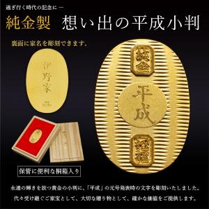 純金 想い出の平成小判 大サイズ 30g 名入...の詳細画像1