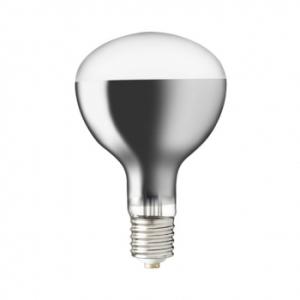 岩崎電気 RF110V270WH 散光形ランプ 屋外用110V270W