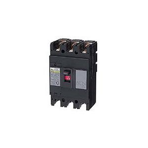 日東工業 GE223 3P 200A FVH 漏電ブレーカ・経済形 : IPX - 通販