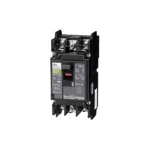 日東工業 GE52CX 2P 40A F30 漏電ブレーカ 協約形