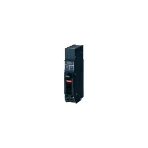 パナソニック BKF2201TNK カンタッチブレーカ 配線保護用 BKF-50P型 2P1E 20A TN プラグインタイプ 2P1E50AF20A TN｜denzai-net