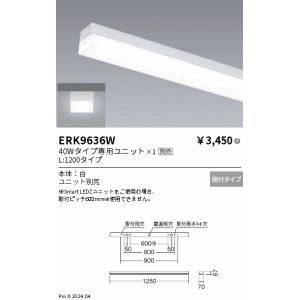 遠藤照明 メンテナンスユニット RAD624WA RAD684LA ERK9708S 未使用品 LEDZ 遠藤照明(ENDO) LEDZ リニア32 L:900タイプ メンテナンスユニット