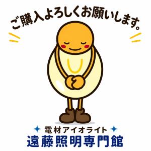 【アウトレット品】アイデック(IDEC) 白熱...の詳細画像5