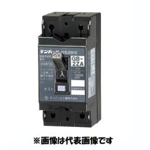 在庫あり　テンパール　GB-2ZA　20A　30mA　100/200V兼用　2ZA2030　漏電遮断...