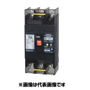 在庫あり テンパール GB-53EC 3P 40A 30mA 100-200V 53EC4030 漏電遮断
