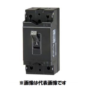 在庫あり テンパール B-1EA 2P 20A 100V用 B1EA20 配線用遮断器 ノー