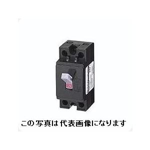 日東工業　CB32X　2P　30A   (2P　2E　100/200V)　 安全ブレーカ　日東　☆イ...