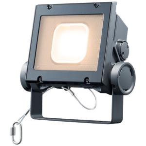 岩崎電気 レディオック フラッド ネオ ECF4050SW/NSAN8/DG 昼白色