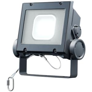 岩崎電気 レディオック ECF0395N/SAN8/W 昼白色 超広角 ホワイト 関東〜九州 送料無料！ 岩崎電気 レディオック フラッド ネオ ECF0395N