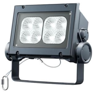 四台セット岩崎電気 レディオック フラッド ネオ　ECF0885N 昼白色タイプ 岩崎電気 レディオック フラッド ネオ ECF6050SW/NSAN8/DG 昼白色