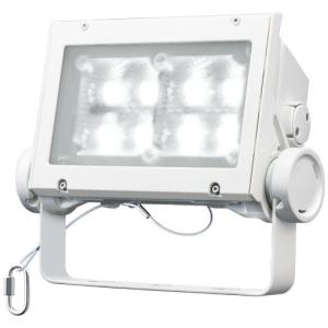 岩崎電気 レディオック フラッド ネオ ECF6050SW/NSAN8/DG 昼白色