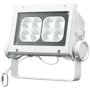 岩崎電気 レディオック フラッド ネオ ECF8040W/NSAN8/DG 昼白色タイプ 