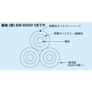 エコケーブル ６００Ｖ EM-CET １００ＳＱ　１０ｍより切断ＯＫ　フジクラダイヤケーブル｜denzai110ban