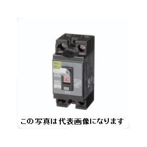 日東工業 GP32CJ 2P2E 30A F30 分岐用漏電ブレーカ gp32cj2p30af30 