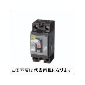 日東工業　GP32CX　2P　20A　F30   ELB　感度電流30mA　 分岐用漏電ブレーカ　日東　☆インボイス領収書可能☆