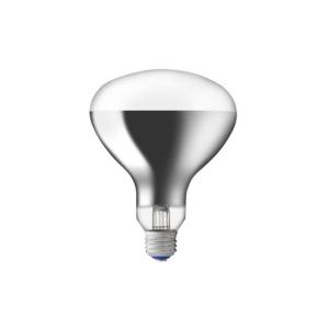 岩崎電気 岩崎 屋外用レフランプ 散光形 RF110V450WH 500W形 E39口金