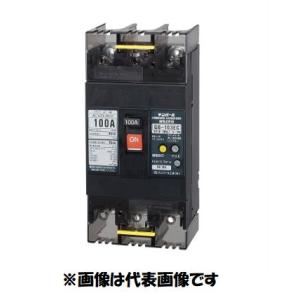 在庫あり テンパール GB-53EC 3P 50A 30mA 100-200V 53EC5030 漏電遮断