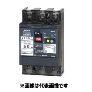 在庫あり　テンパール　GB-53EC　3P　40A　30mA　100-200V　53EC4030　漏電遮断器　漏電ブレーカー　ELB　インボイス対応領収書可｜denzai1ban