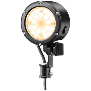 岩崎電気 レディオック フラッド ルント E30014M/NSAN9/BK 昼白色