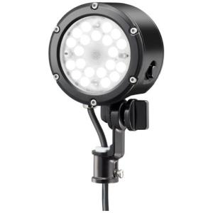 岩崎電気　 レディオック フラッド ルント　E30014M/NSAN9/BK　昼白色タイプ　中角タイプ　14Wタイプ　ブラック