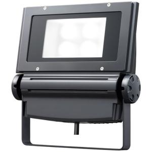 岩崎電気 レディオック フラッド ネオ ECF6050M/NSAN8/W 昼白色タイプ