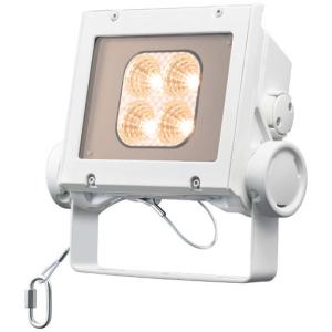 岩崎電気 レディオック フラッド ネオ ECF6050M/NSAN8/W 昼白色タイプ