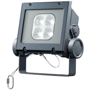 岩崎電気 レディオック フラッド ネオ ECF4050SW/NSAN8/DG 昼白色