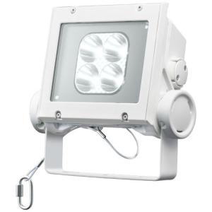 岩崎電気 レディオック フラッド ネオ ECF4050SW/NSAN8/DG 昼白色