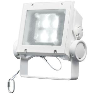 四台セット岩崎電気 レディオック フラッド ネオ　ECF0885N 昼白色タイプ 岩崎電気 レディオック フラッド ネオ ECF4040N/NSAN8/DG 昼白色タイプ