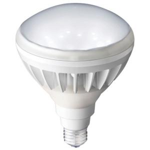 RF110V180WH 岩崎電気 EYE アイランプ RF110V180WH 屋外投光用