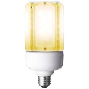 岩崎電気 LDT100-242V28N-G/H100 レディオックLEDライトバルブK 昼