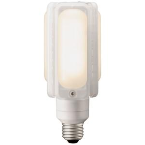 岩崎電気 LE056035HSZ1/2.4-A2 レディオックLEDライトバルブ 48W