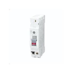 日東工業　PG32TA　2P　20A　F30   ELB　感度電流30ｍA　　 プチスリム漏電ブレー...