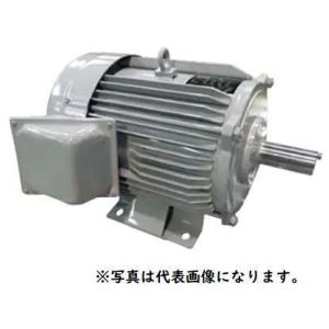 日立（HITACHI） 日立産機 三相モーター TFOA-LKK-4P-7.5kW 200V ザ