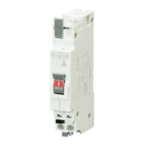 テンパール工業 配線用遮断器 BC2NA20 パールテクトブレーカ BC-2NA