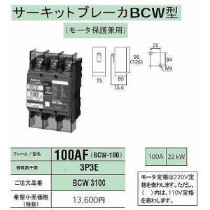 Panasonic 主幹用漏電ブレーカJ型 3P2E30A /BJJ330325N : DCM