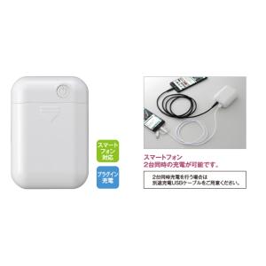 【当店在庫品】スターリングクラブ　スマホ充電　BP-838　プラグインチャージャー　乾電池付き　２ポ...