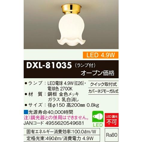 DAIKO DXL-81035 4.9W LED小型直付シーリング JAN4955620549681...