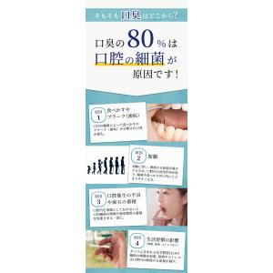 歯磨き粉 口臭 最強 歯みがき粉 フッ素なし ...の詳細画像2
