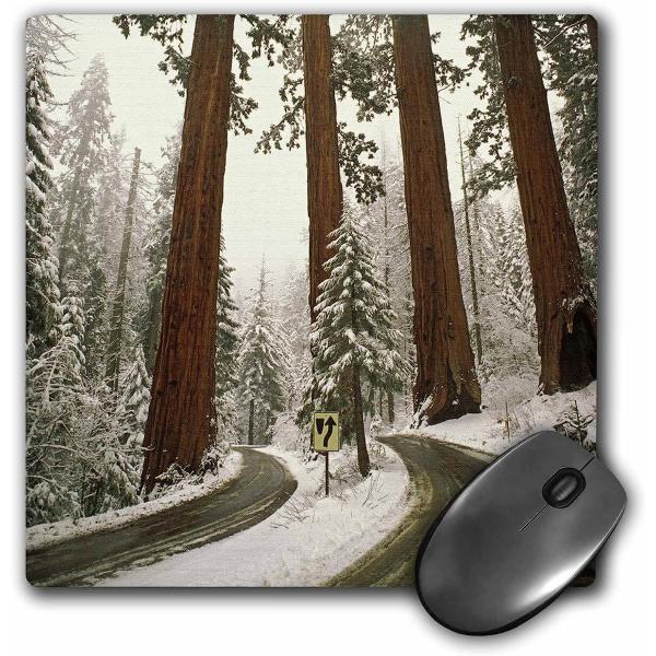 【並行輸入品】3drose LLC 8 x 8 x 0.25インチCaliforniaセコイア国立公...