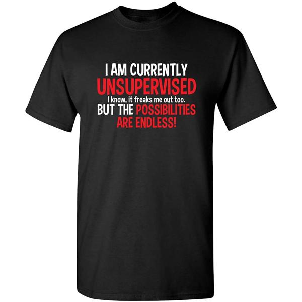 Currently Unsupervised Graphic Novelty Sarcastic F...